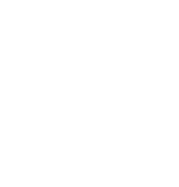 Alpyne Consulting